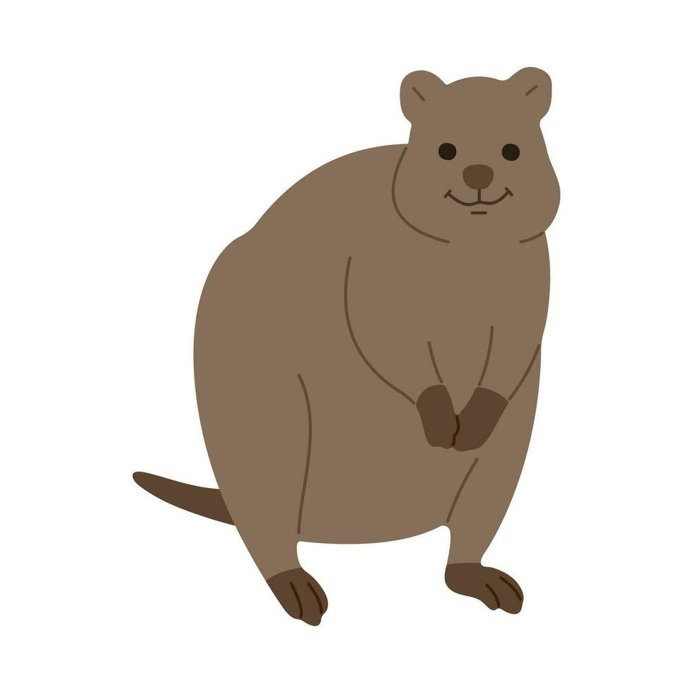 Quokka enda söt vektor