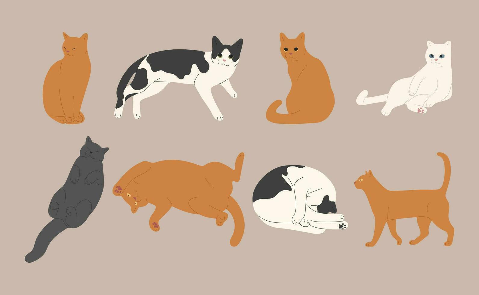 vektor illustration söt katt grupp