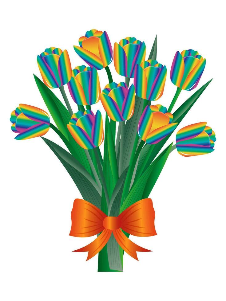 Regenbogen Tulpen. Strauß von Frühling Blumen gebunden mit rot Bogen und isoliert auf Weiß Hintergrund zum Urlaub Karten. Vektor. vektor