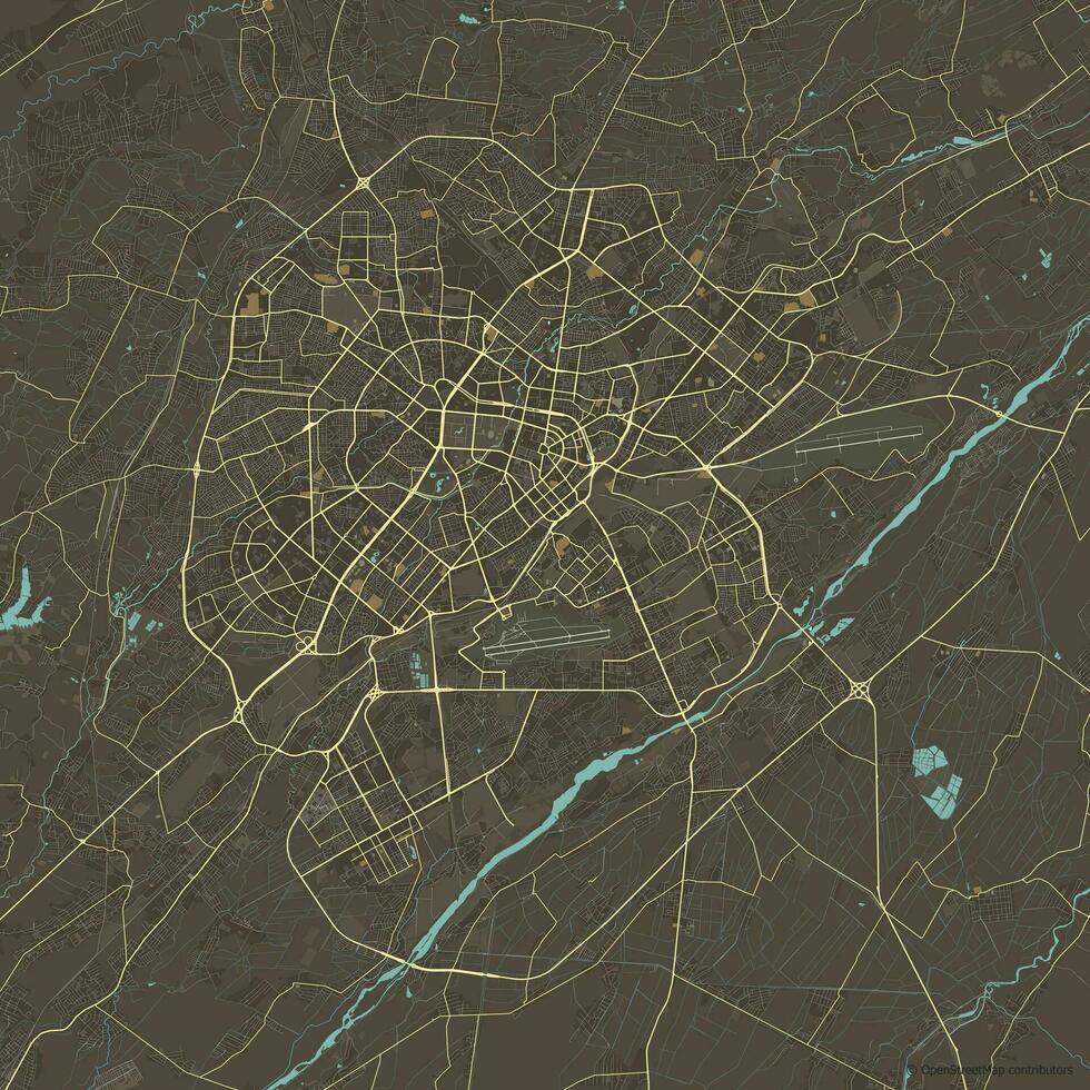 vektor stad Karta av tasjkent, uzbekistan