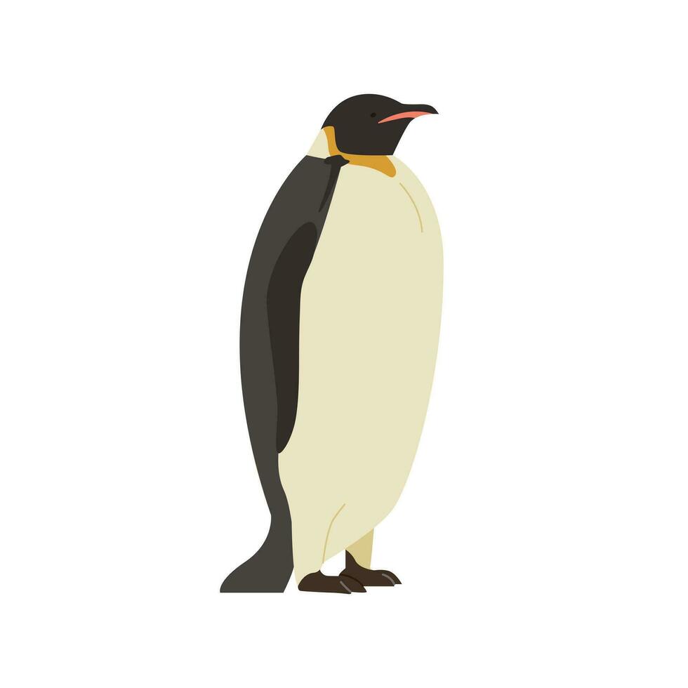 ein Pinguin Stehen allein. realistisch Hand gezeichnet Stil Illustration. vektor