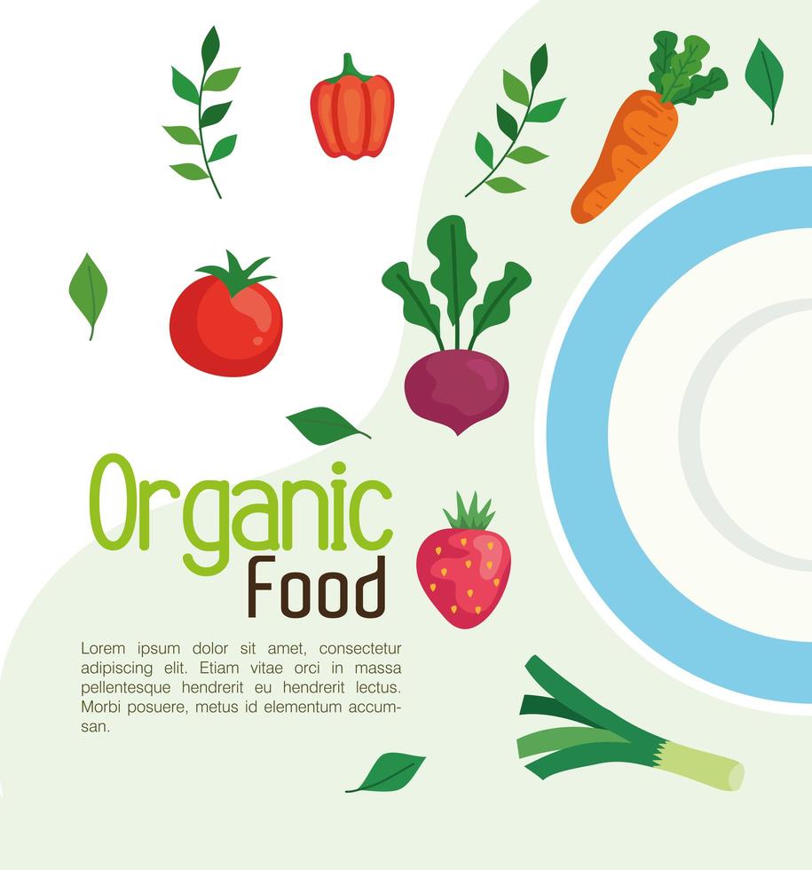 banner med ekologisk mat, frukt och grönsaker, koncept hälsosam mat vektor