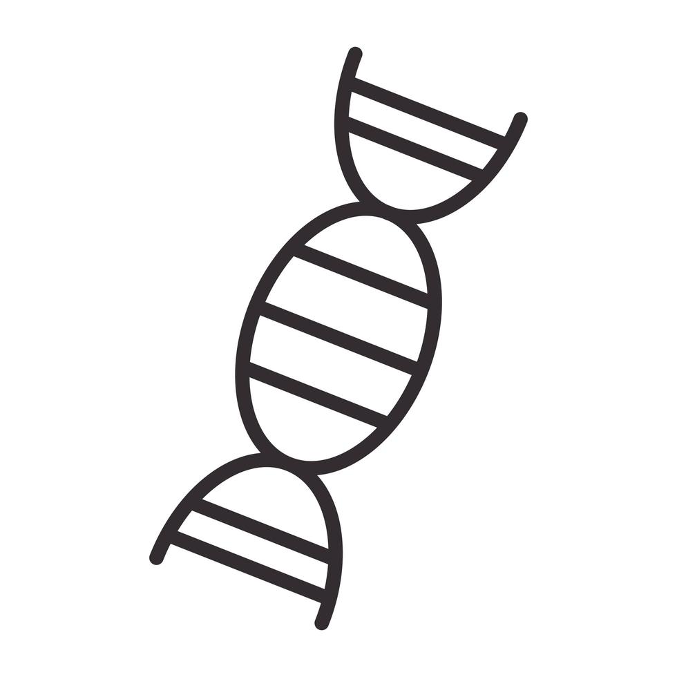 biologi genetisk DNA molekyl vetenskap element linje ikon stil vektor