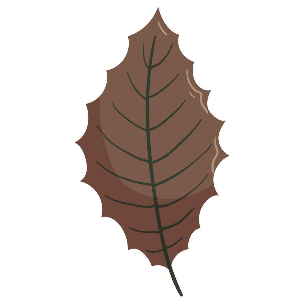 Herbst Wald Blatt Illustration. vektor