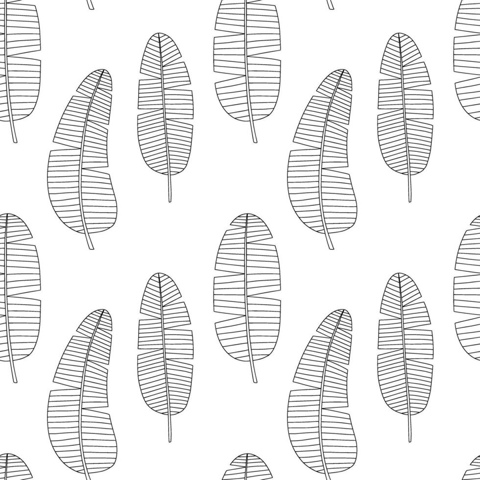 Banane Blätter Vektor nahtlos Muster. Banane Blätter Skizzen Muster