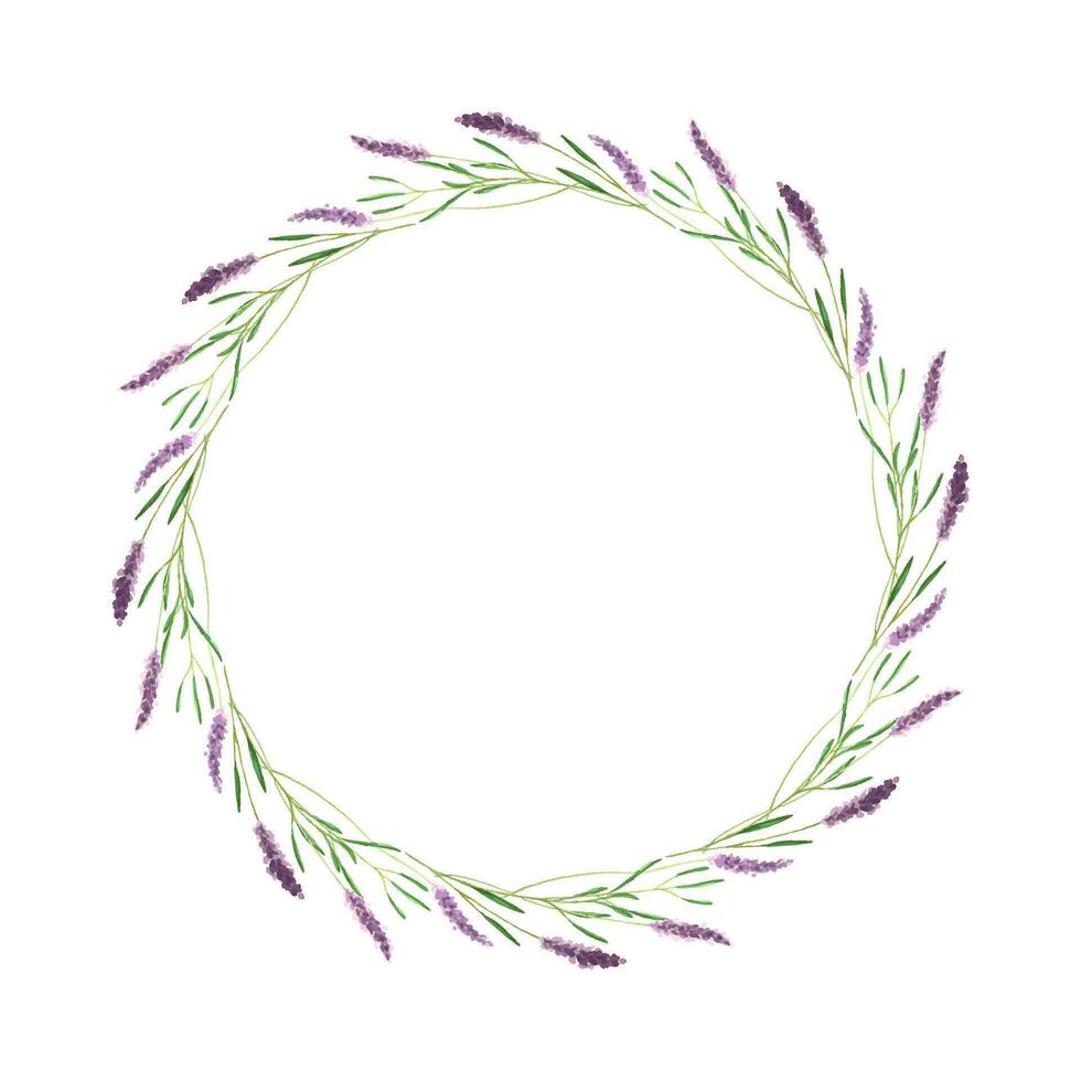 krans runda av lavendel- blommor, ritad för hand i vattenfärg, lavendel- kvistar, isolerat, vit bakgrund. vektor