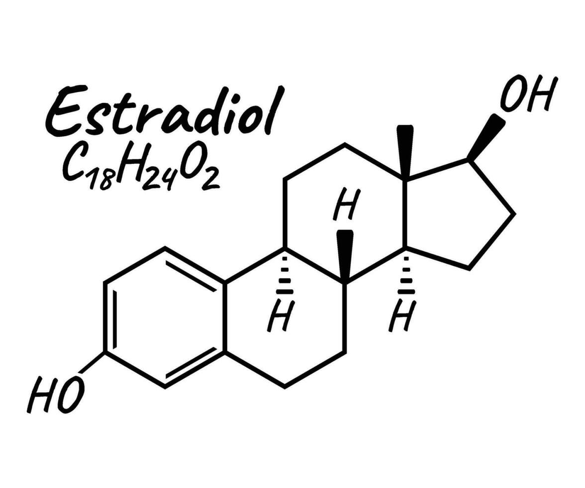 Mensch Hormon Östradiol Konzept chemisch Skelett- Formel Symbol Etikett, Text Schriftart Vektor Illustration, isoliert auf Weiß. periodisch Element Tisch.