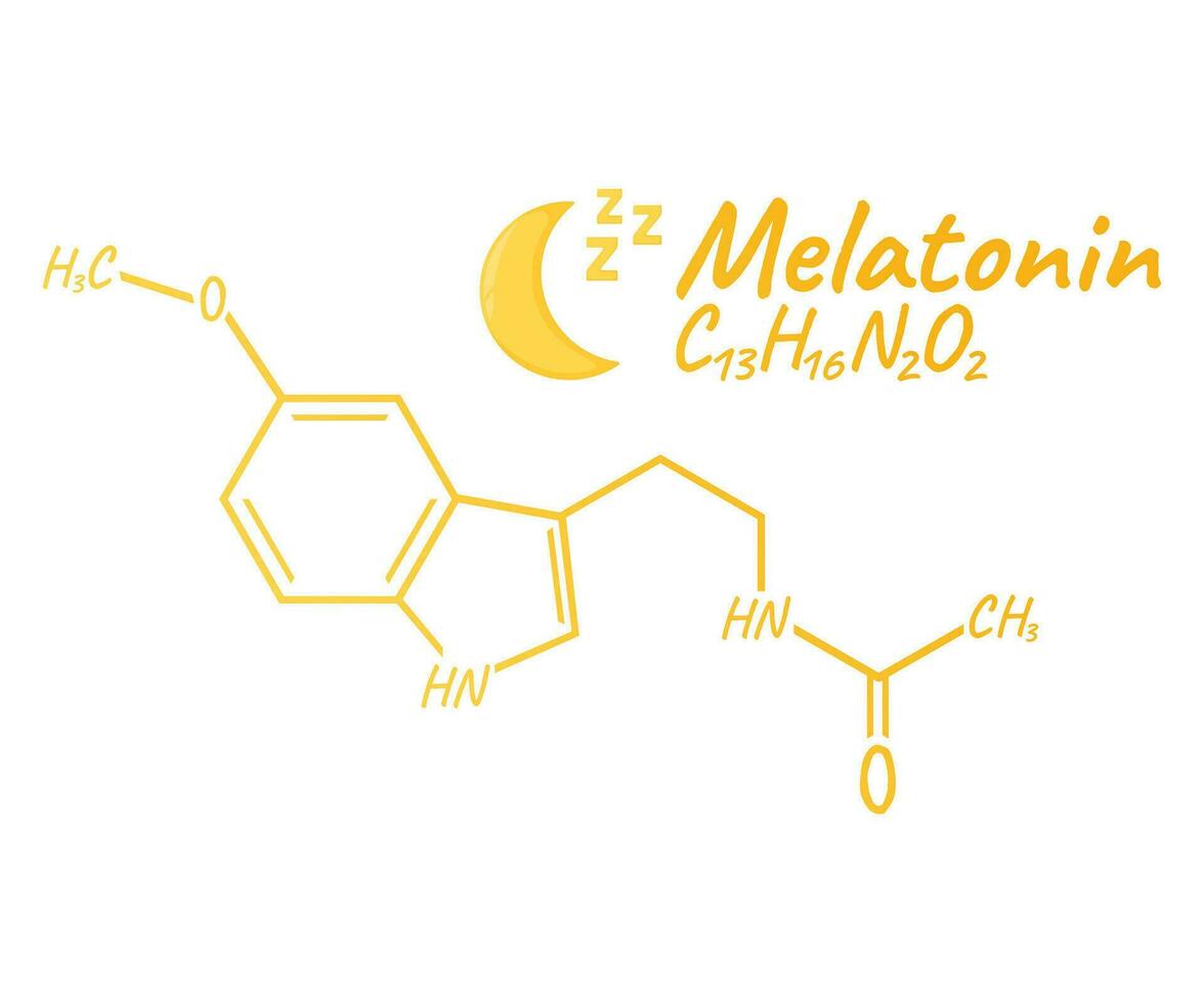 Mensch Hormon Melatonin Konzept chemisch Skelett- Formel Symbol Etikett, Text Schriftart Vektor Illustration, isoliert auf Weiß. periodisch Element Tisch.