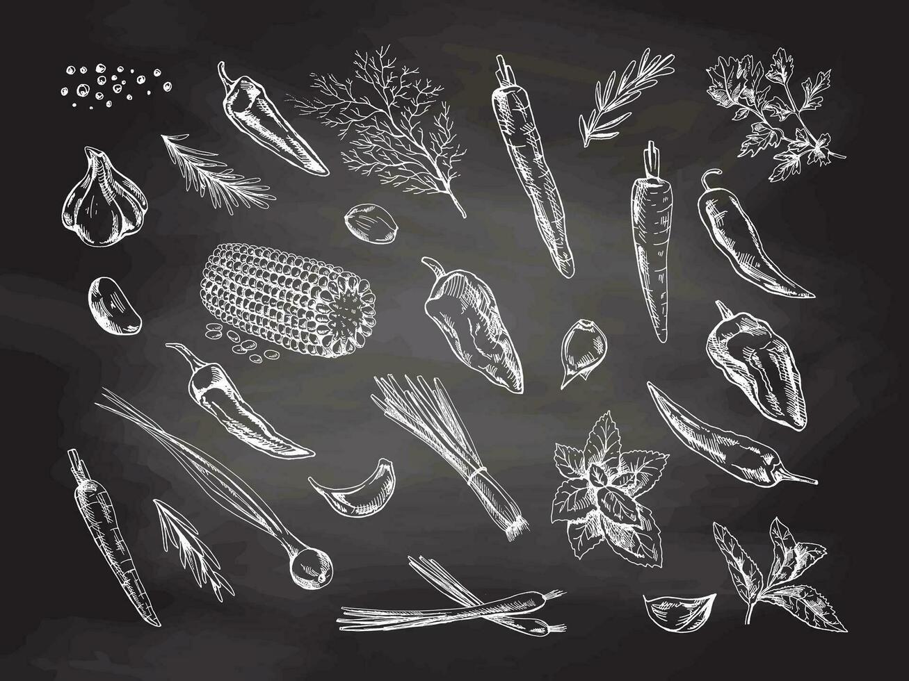 en uppsättning av ritad för hand skisser av örter, grönsaker och kryddor på svarta tavlan bakgrund. för de design av de meny av restauranger och kaféer. vektor