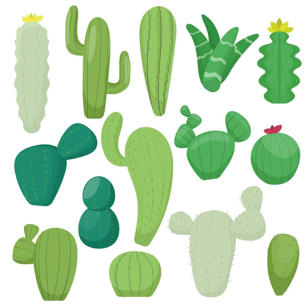 Vektor einstellen Kaktus Sammlung
