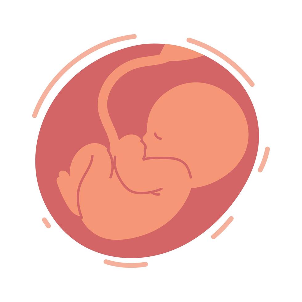 Baby im Mutterleib vektor