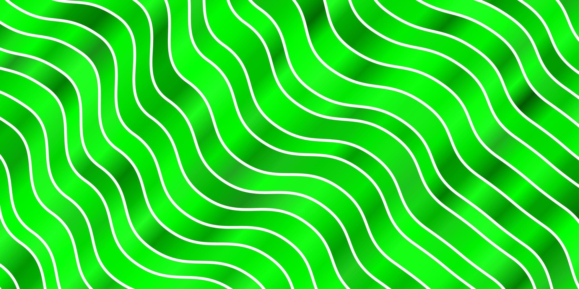 ljusgrön vektor konsistens med snygga linjer färgglada illustration som består av kurvor bästa design för dina affischer banners