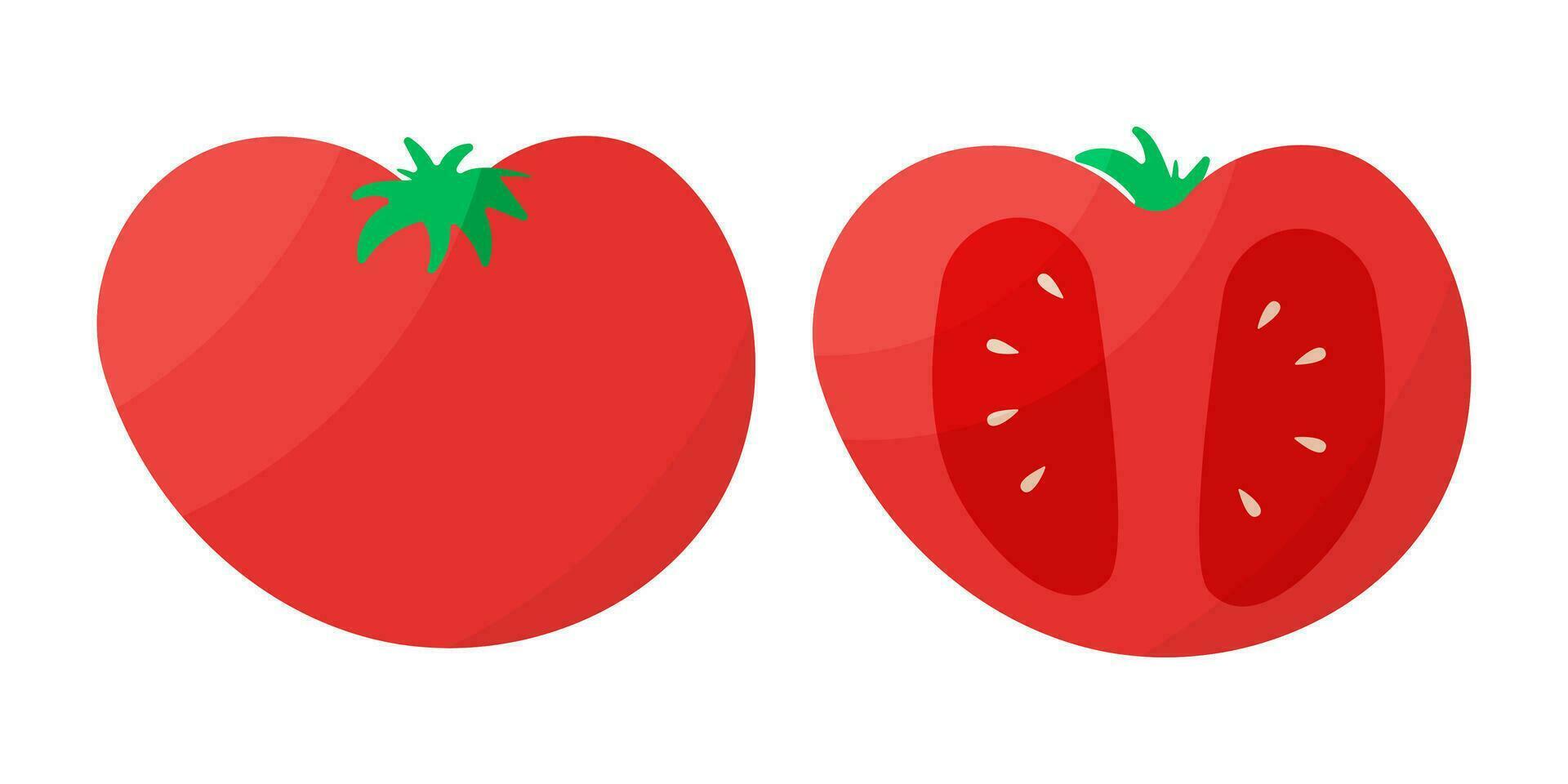 Tomate rot Stück ganze Gemüse Essen einstellen vektor