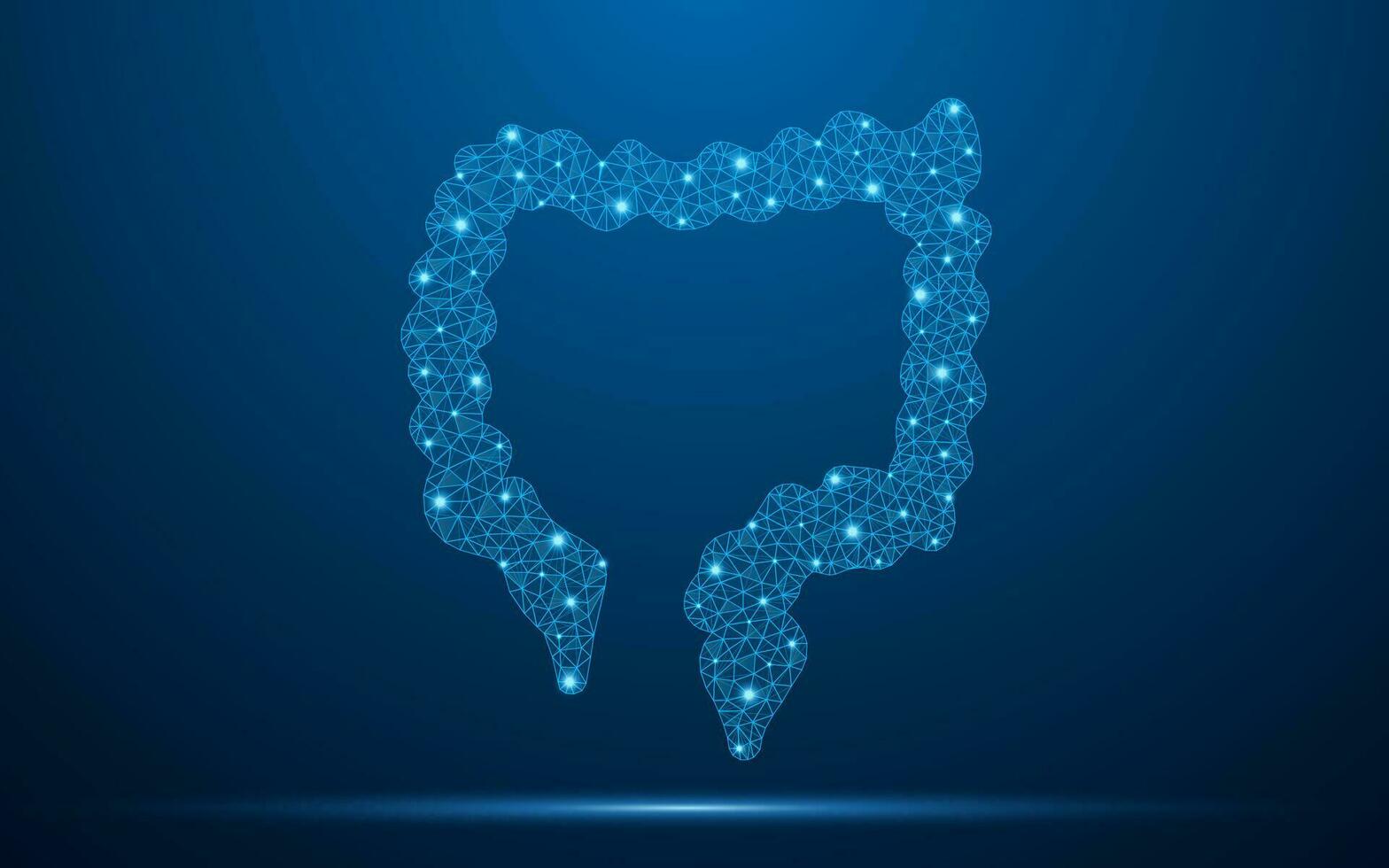 Mensch Darm niedrig poly Drahtmodell mit abstrakt Gittergewebe Linie und Punkt Punkt. Gastroenterologie Forschung Konzept zum Doppelpunkt oder Rektum. polygonal Drahtmodell und niedrig poly Vektor Illustration.