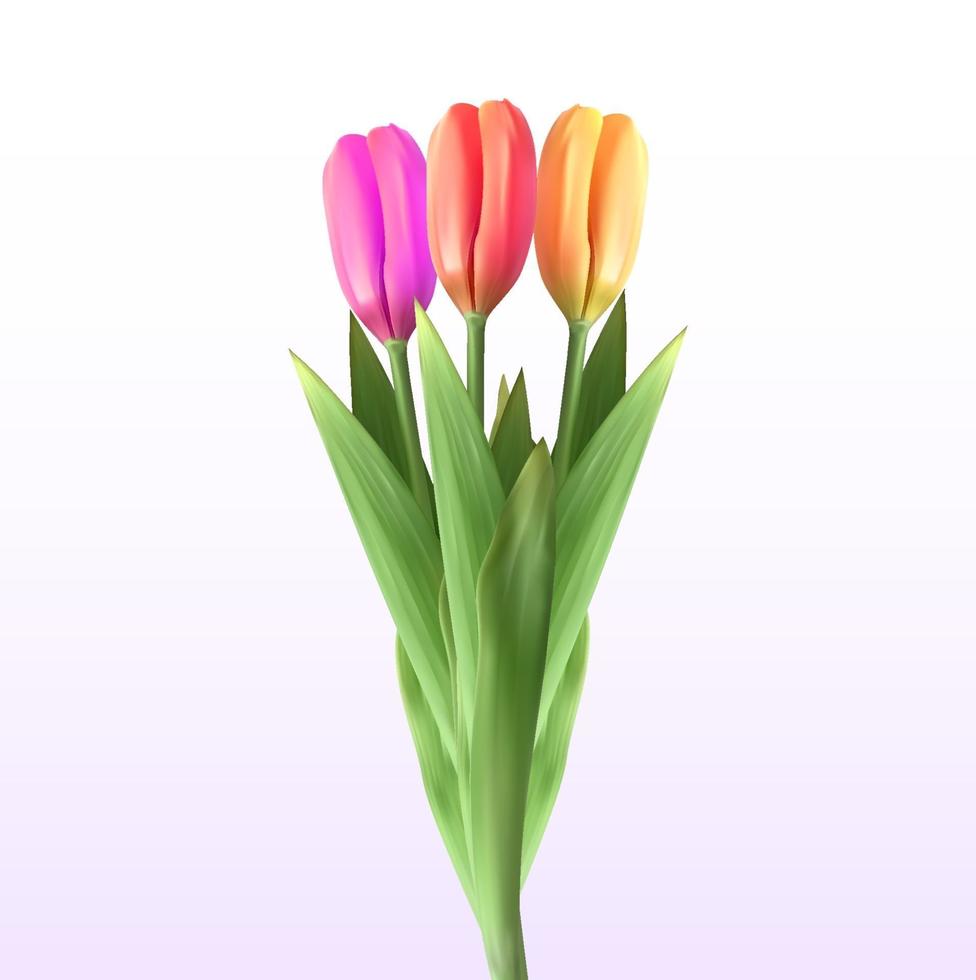 naturalistisk 3d-vy av bukett blommande tulpaner på vit bakgrund vektor