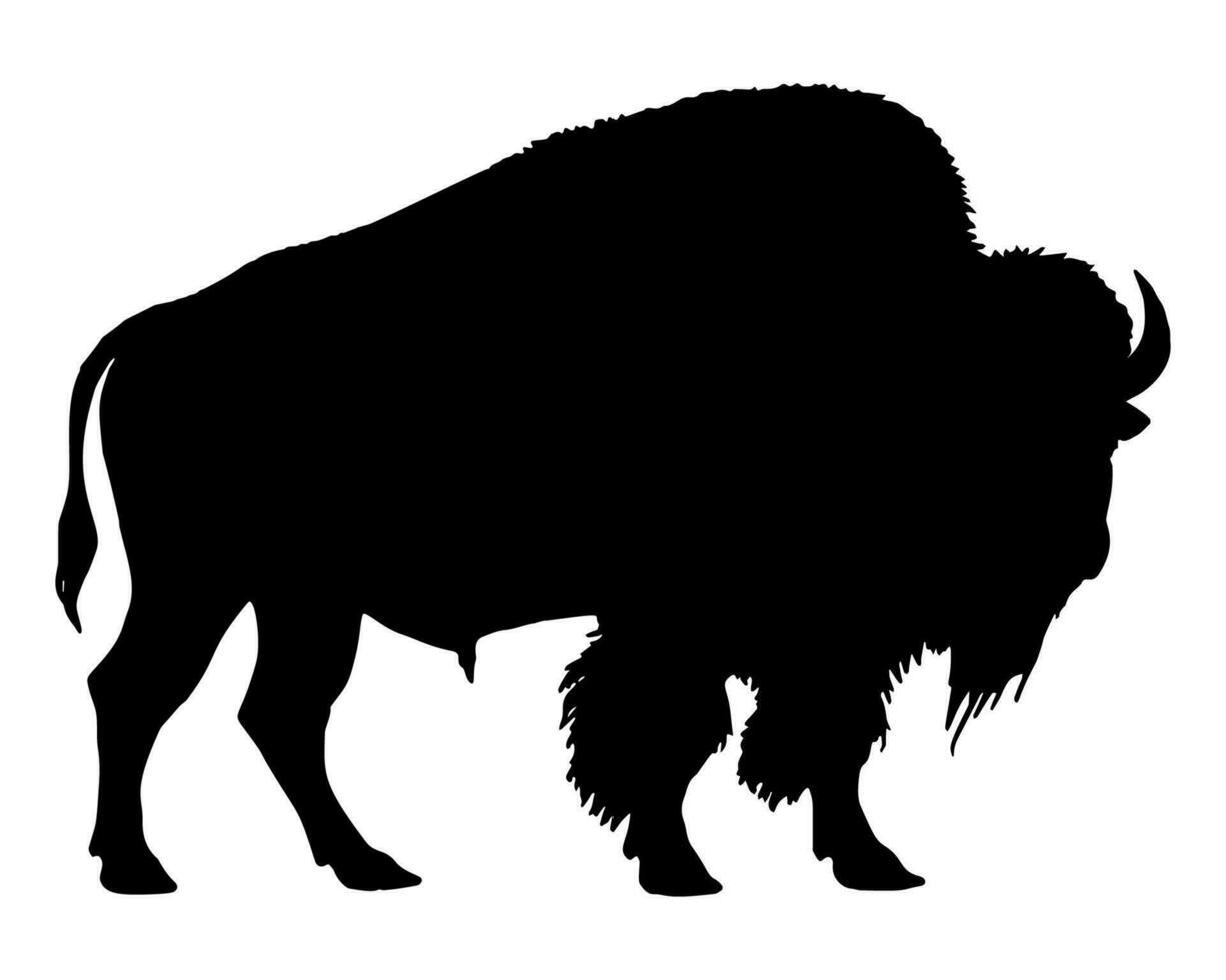 amerikanisch Bison schwarz Silhouette Tier. Büffel das Vieh Säugetier. Tierwelt Tier Symbol. Vektor Illustration isoliert auf ein Weiß Hintergrund
