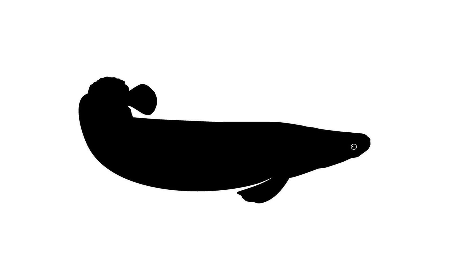 Silhouette von das Fisch Arapaima, oder Pirarucu, oder paiche, zum Symbol, Symbol, Piktogramm, Kunst Illustration, Logo Typ, Webseite oder Grafik Design Element. Vektor Illustration