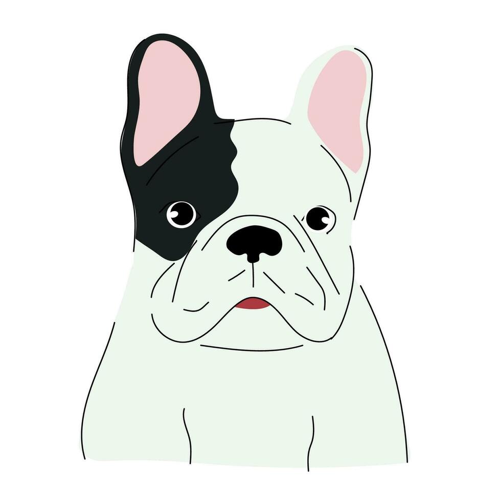 söt klotter illustration av en franska bulldogg. isolerat på vit. vektor