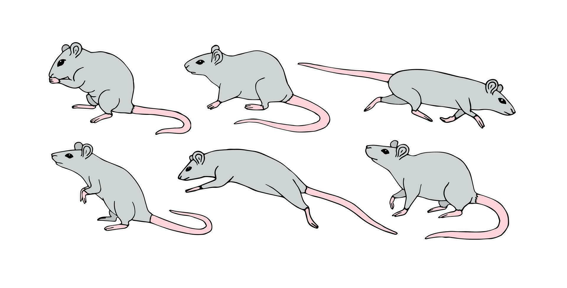 vektor hand dragen skiss uppsättning bunt av råtta mus