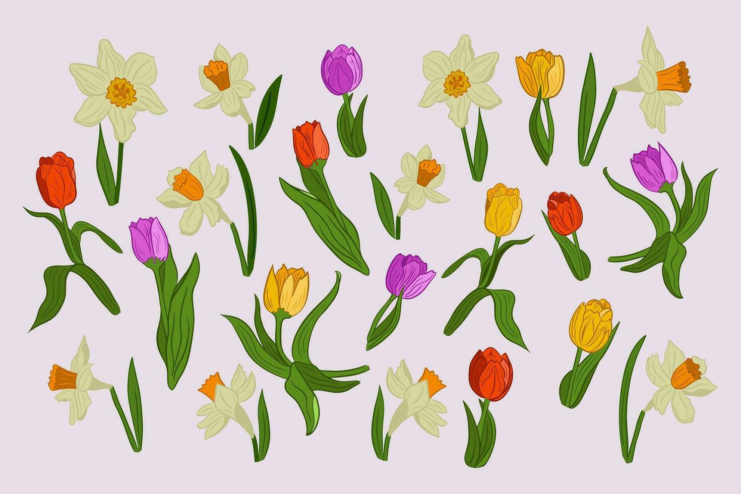 einstellen von Frühling Hand gezeichnet Blumen. Vektor eben isoliert Tulpen und Narzissen mit farbig Umrisse auf Weiß Hintergrund. Ideal zum Aufkleber, Tätowierung, Muster, Hintergrund, Verpackung Papier