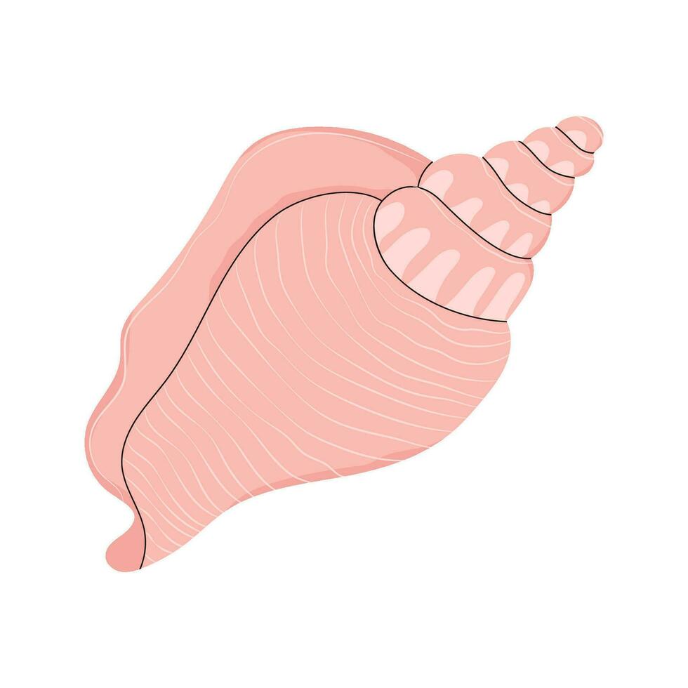 spiral snäckskal, blötdjur. marin vriden hav skal. hav blötdjur. under vattnet skaldjur. tropisk vatten- undervattenskablar dekoration av horn form. platt vektor illustration isolerat på vit bakgrund