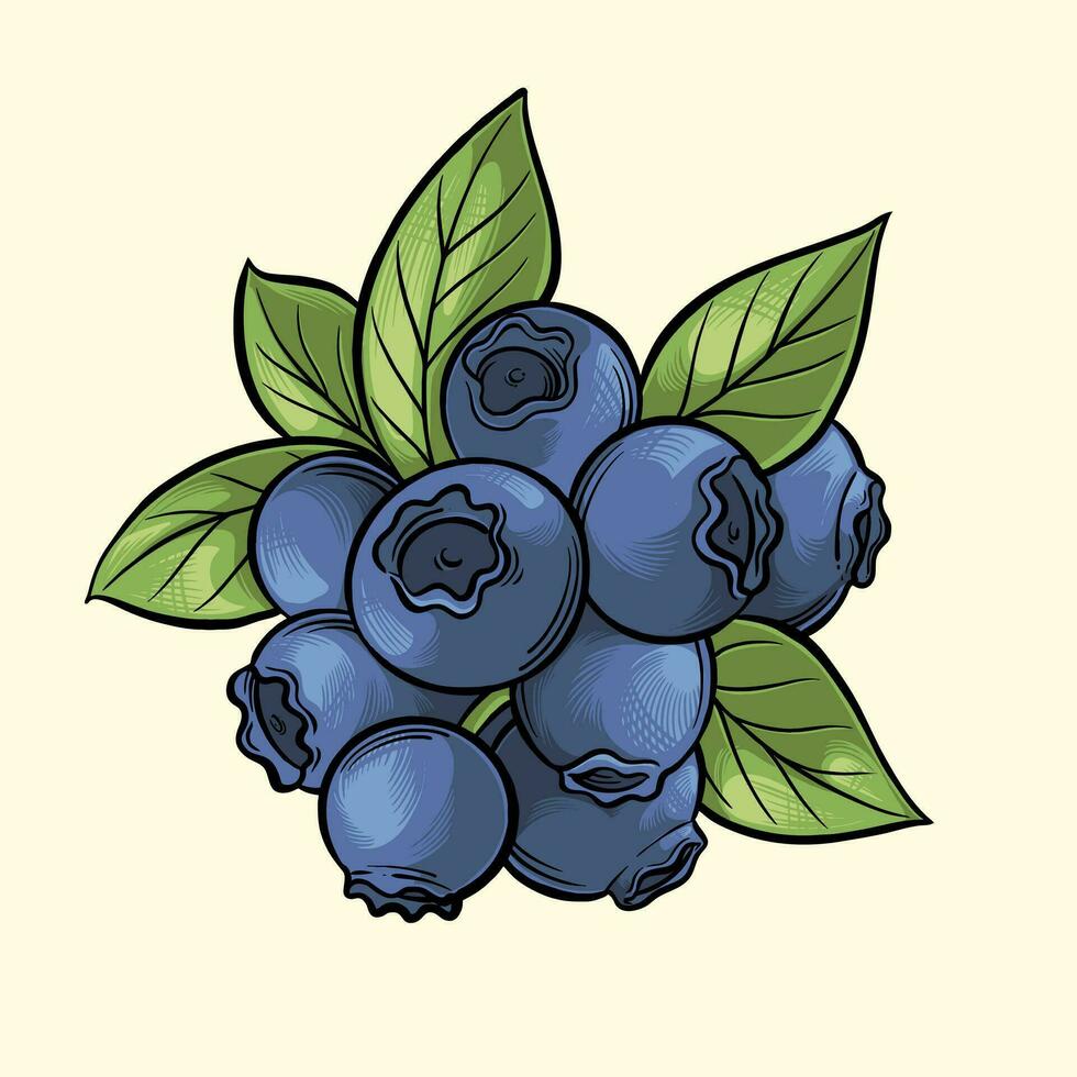 blåbär frukt vektor element tecknad serie