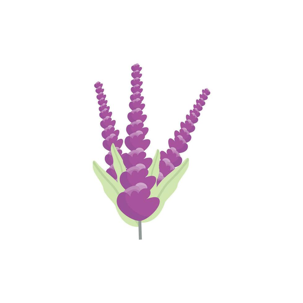 lavendel- logotyp, lila växt vektor, trädgård design, illustration symbol mall vektor