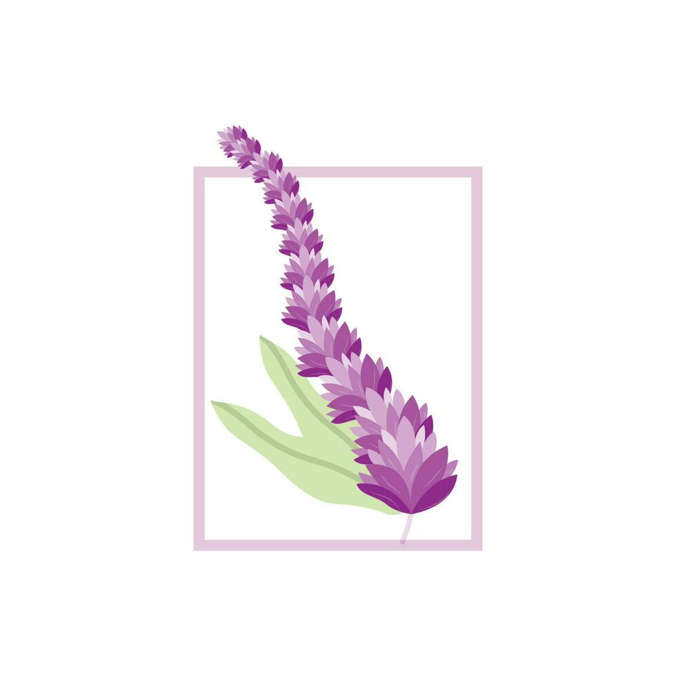 Lavendel Logo, lila Pflanze Vektor, Garten Design, Illustration Symbol Vorlage vektor