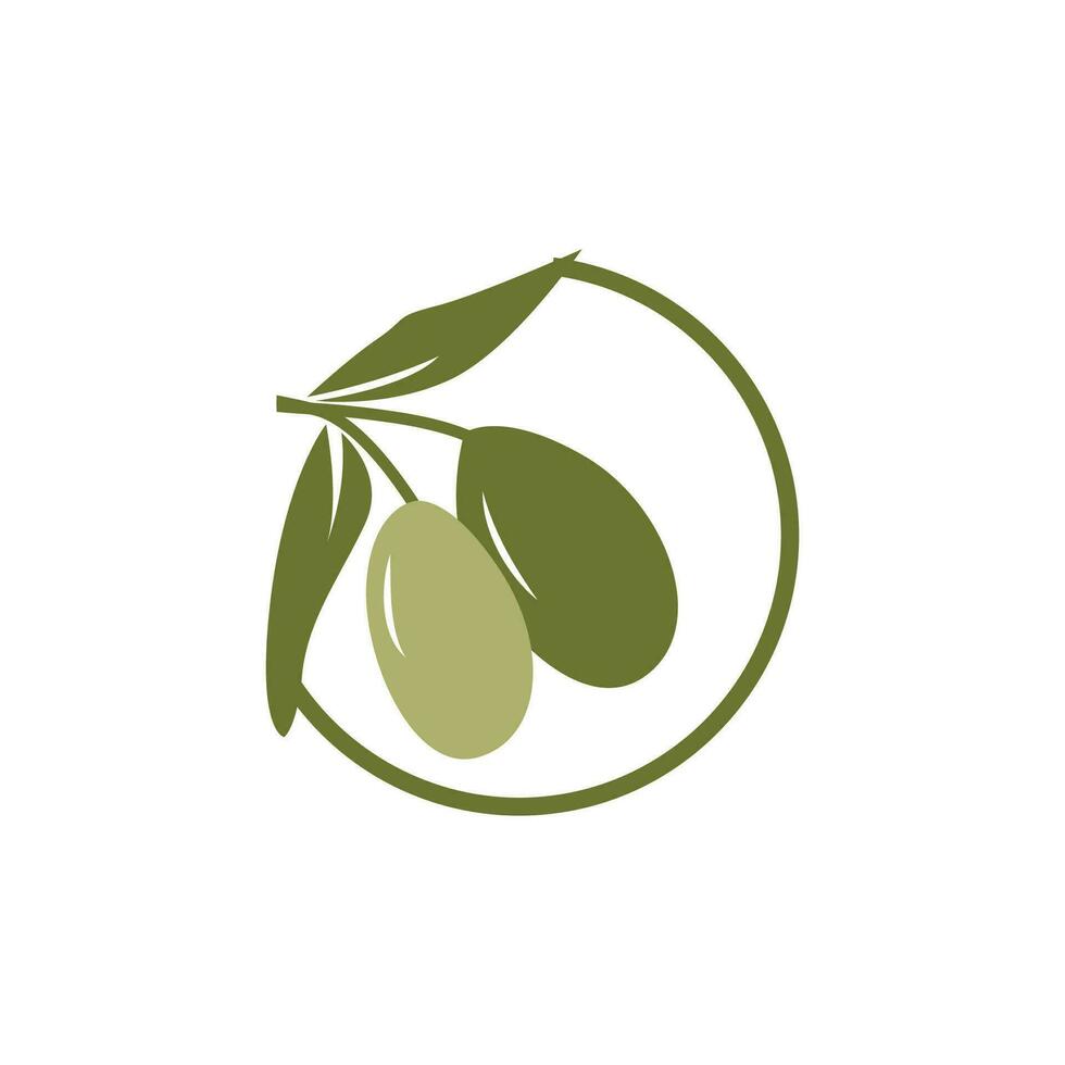 Olive Logo Design, Olive Öl Baum Vektor, einfach Illustration Vorlage vektor