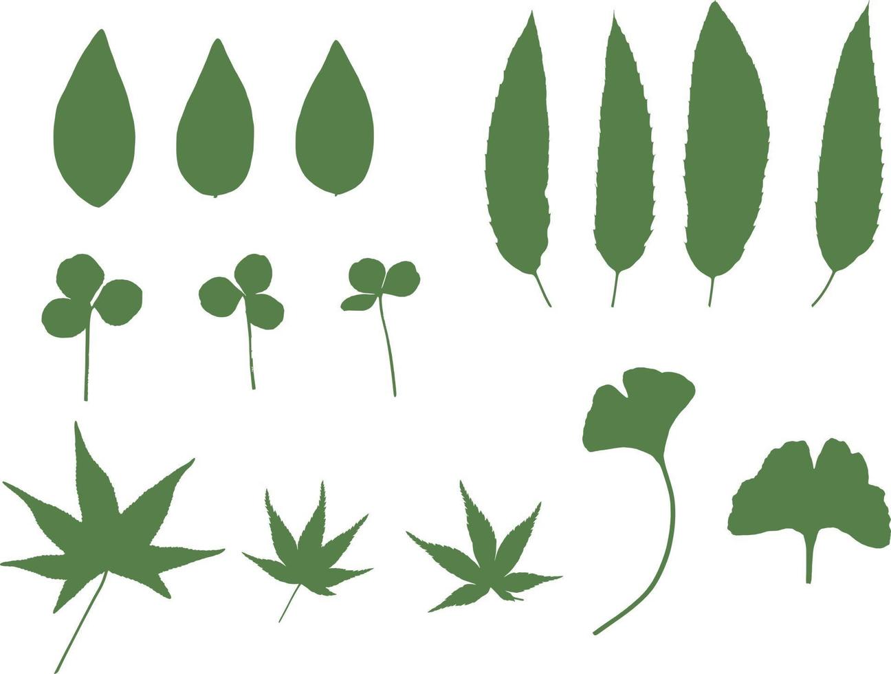botaniska lövverk siluett blad illustration set vektor