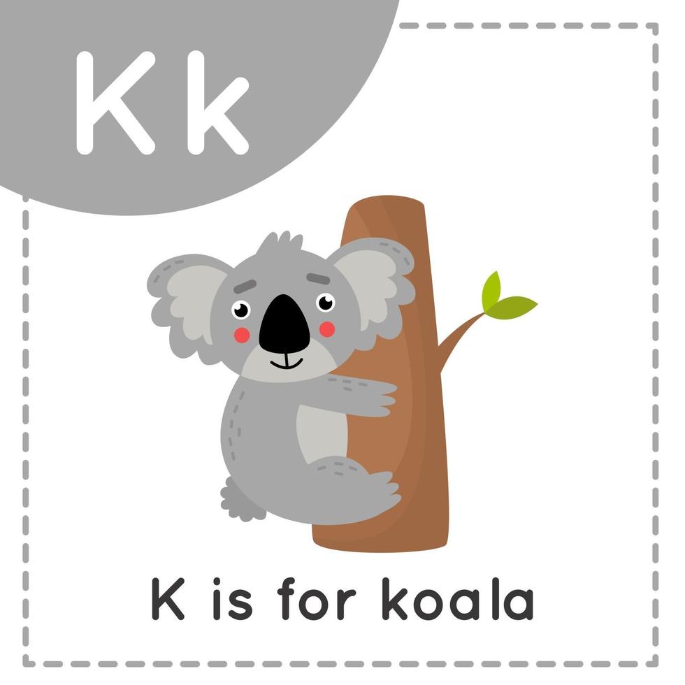 Lernen des englischen Alphabets für Kinder. Buchstabe k. süßer Cartoon-Koala. vektor