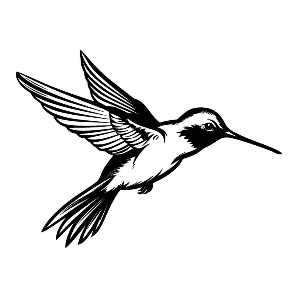 Kolibri Silhouette, Kolibri Maskottchen Logo, Kolibri schwarz und Weiß Tier Symbol Design, Vogel Symbol. vektor