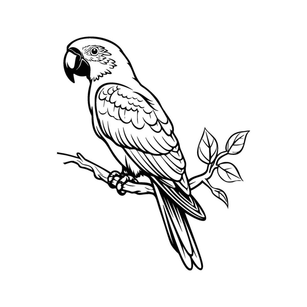 papegojor silhuett, papegojor maskot logotyp, papegojor svart och vit djur- symbol design, fågel ikon. vektor