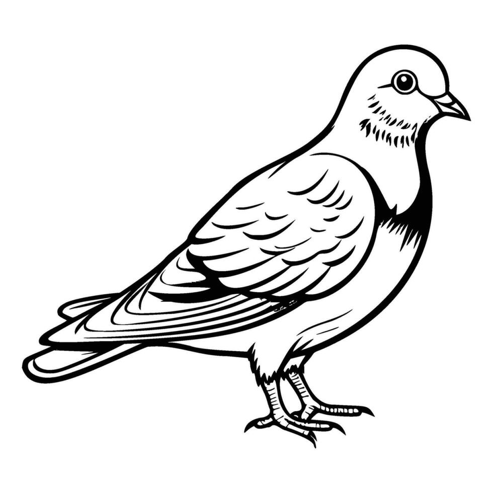 Tauben Silhouette, Tauben Maskottchen Logo, Tauben schwarz und Weiß Tier Symbol Design, Vogel Symbol. vektor