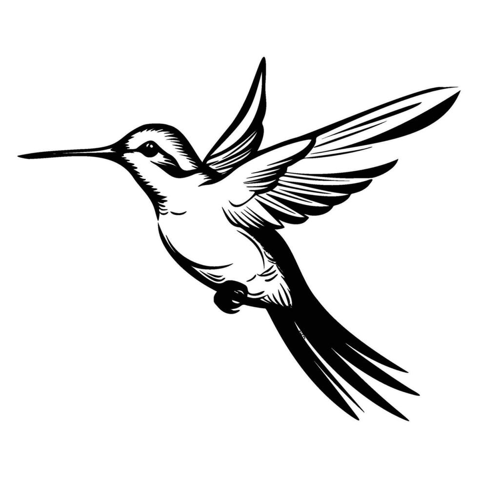 Kolibri Silhouette, Kolibri Maskottchen Logo, Kolibri schwarz und Weiß Tier Symbol Design, Vogel Symbol. vektor