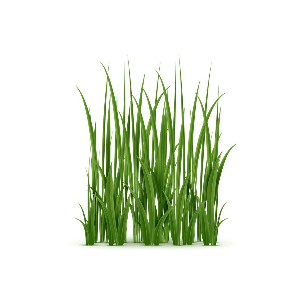 realistisch Gras, Grün Klingen mit Sanft Textur vektor
