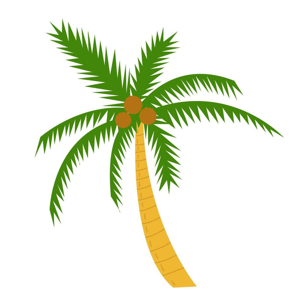 Vektor eben Stil Strand Palme Illustration.