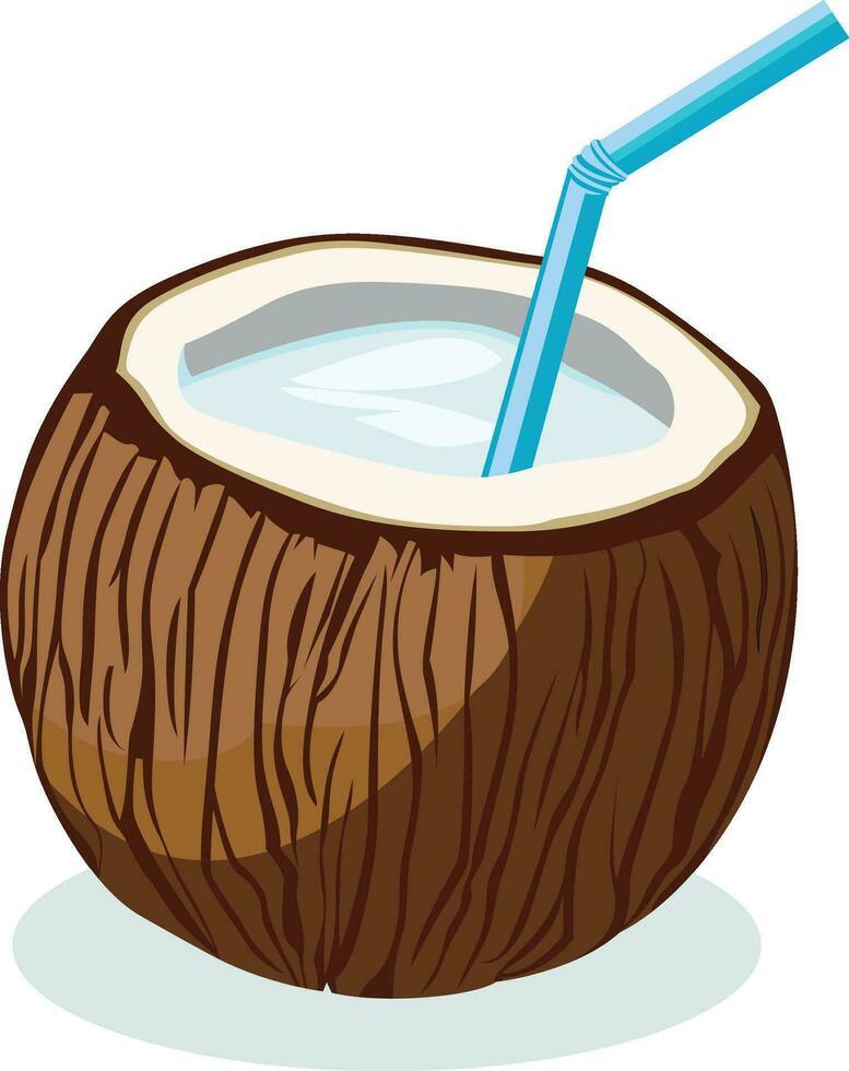 kokos dryck vektor illustration, kokos med en sugrör , diva dryck , halv öppen kokos , kokos dryck vektor bild