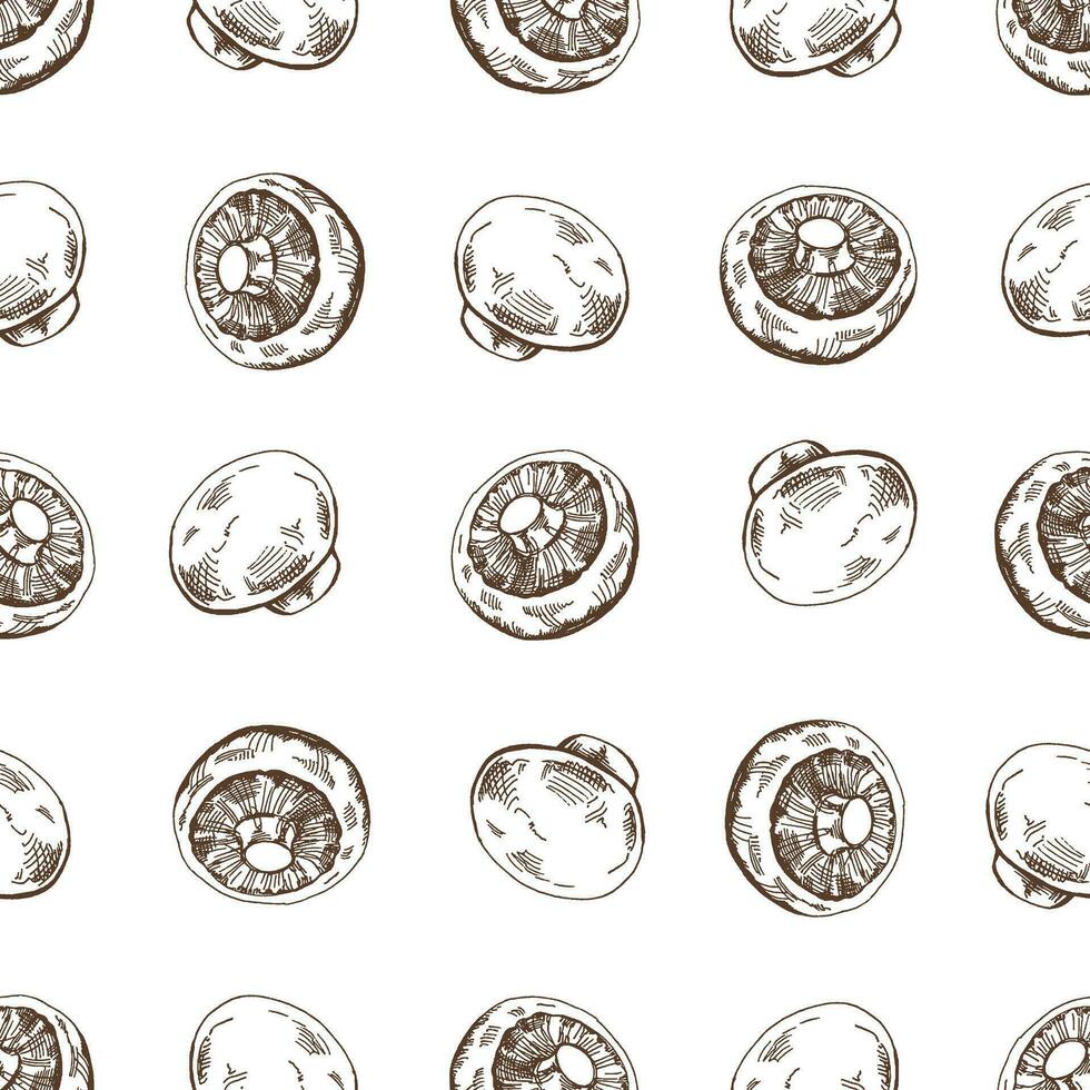 ritad för hand vektor sömlös mönster av champinjoner. årgång klotter illustration. skiss för Kafé menyer och etiketter. de graverat bild.