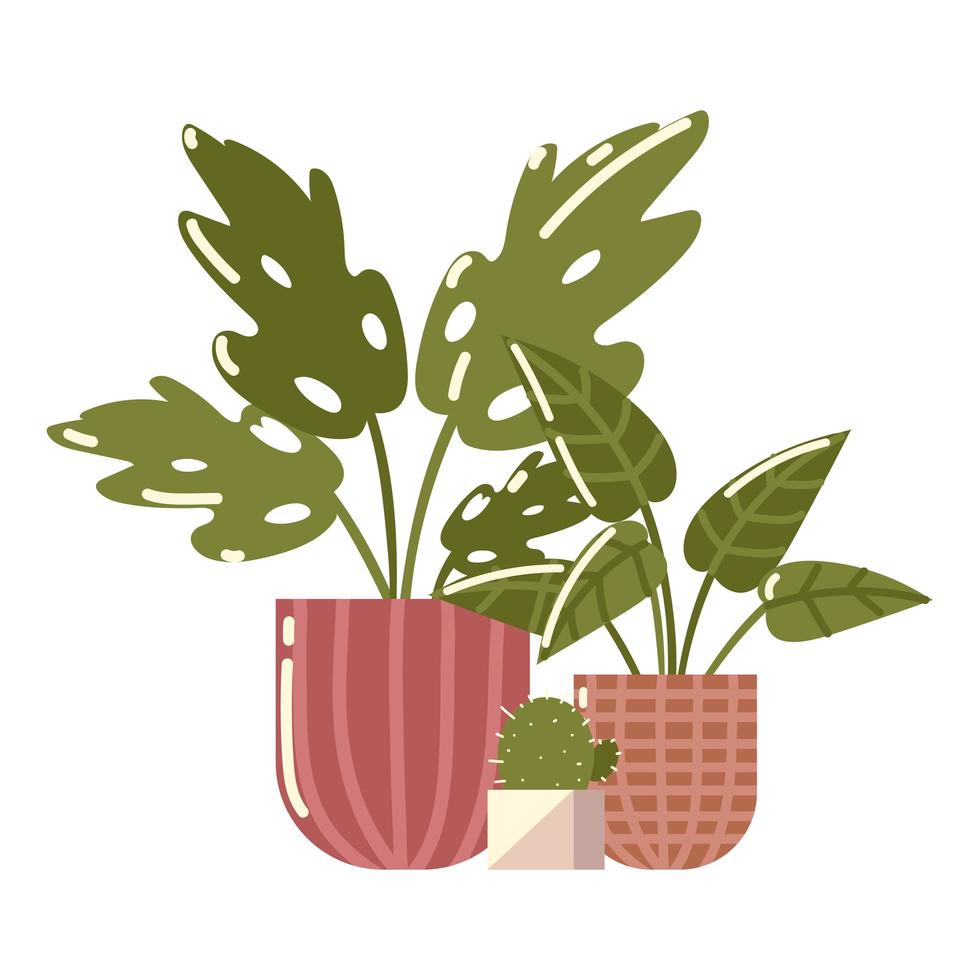 krukväxter och kaktusdekoration, vektordesign vektor