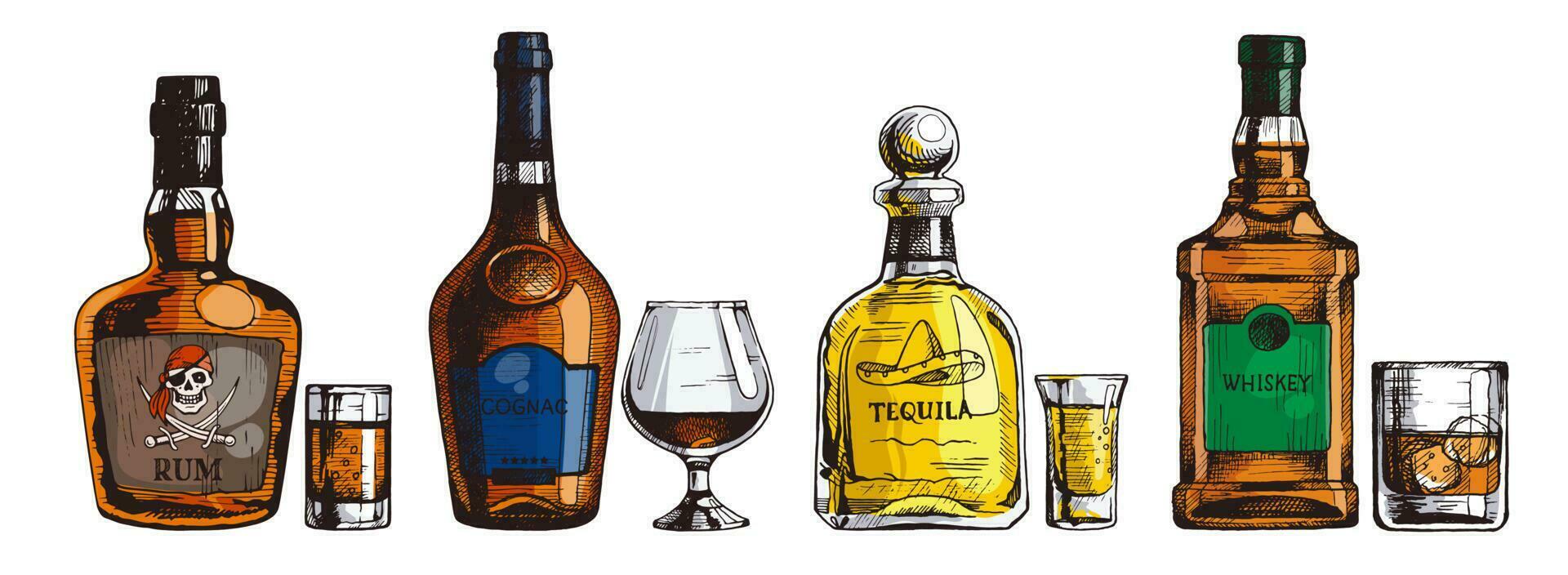 handritad uppsättning alkoholhaltiga drycker. flaska rom, konjak, tequila, whisky. vektor dryck illustration, bläck skiss