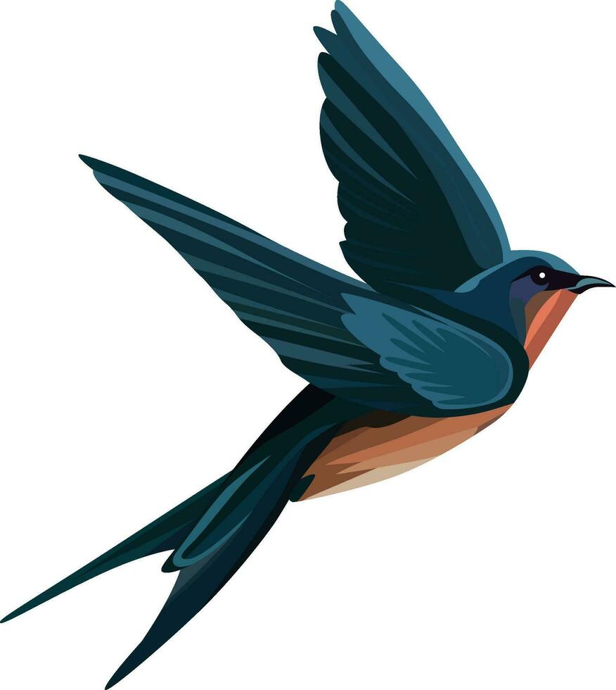 das Scheune schlucken Vogel Vektor Illustration, fliegend Hirundo rustikale Martin Vogel Vektor Bild, er National Vogel von Österreich und Estland Vektor Zeichnung