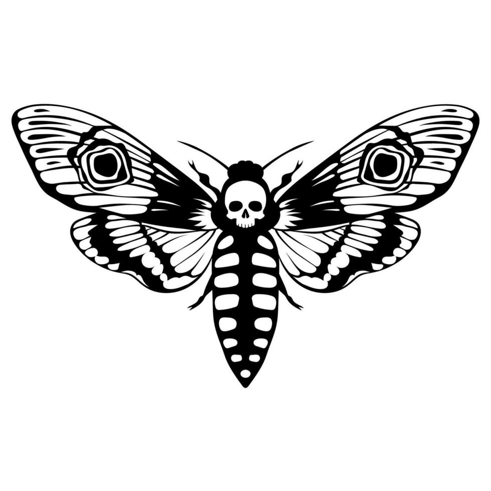 Todesfälle Kopf Falke Motte. Acherontie atropos Schmetterling Design, Hand gezeichnet Vektor Illustration