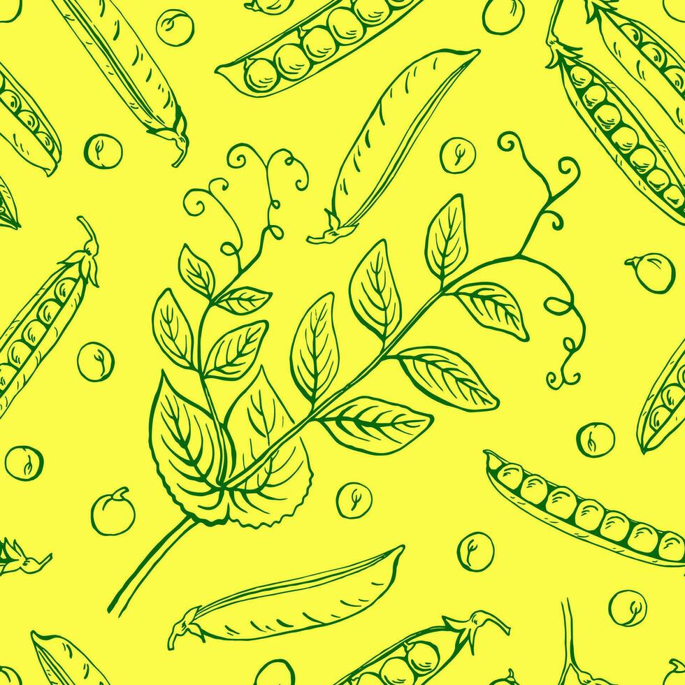 nahtloses Muster mit Erbsenschoten. hand gezeichnete vektorillustration. Bauernmarktprodukt, Gemüse. vektor