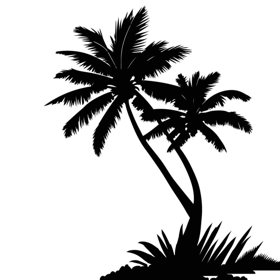 Palme Baum Vektor Palme Baum Silhouette Kokosnuss Baum Vektor Silhouette