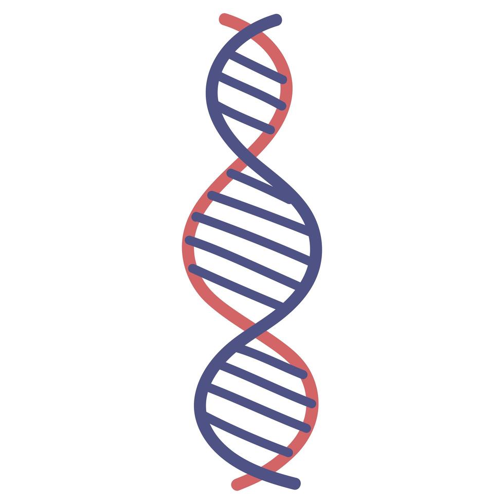 genetisk DNA-molekyl vektor