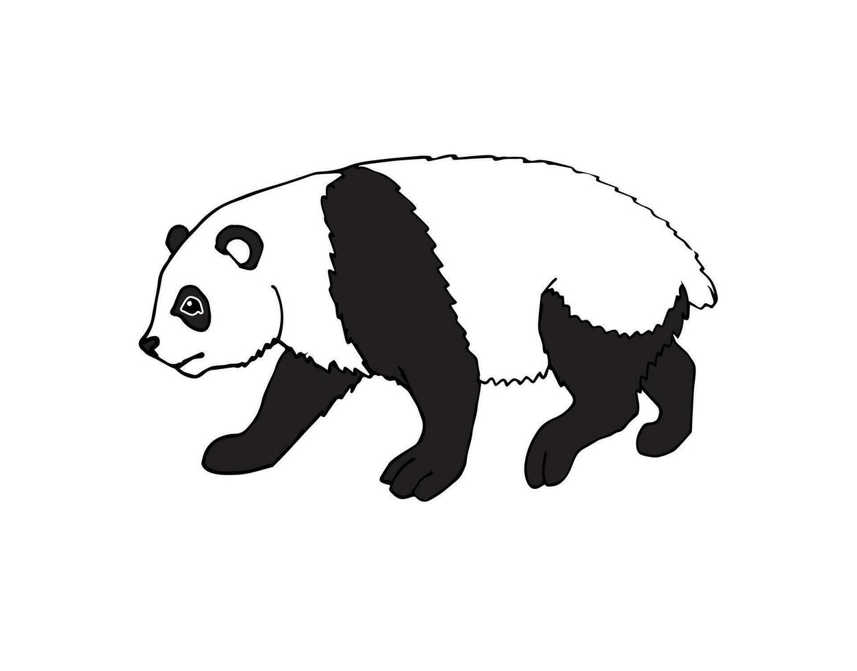 vektor svart hand dragen skiss klotter panda