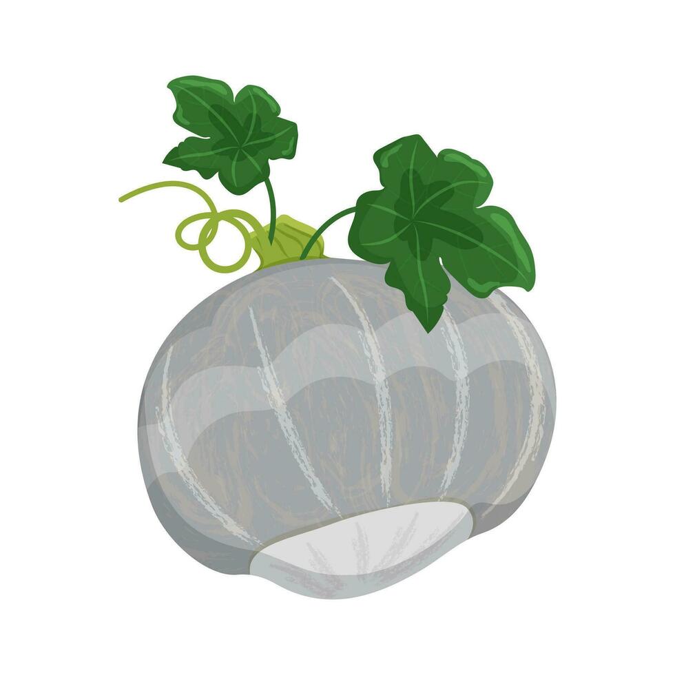 randig pumpa med löv och skjuter, höst vegetabiliska skörda, vektor illustration på en vit bakgrund isolera