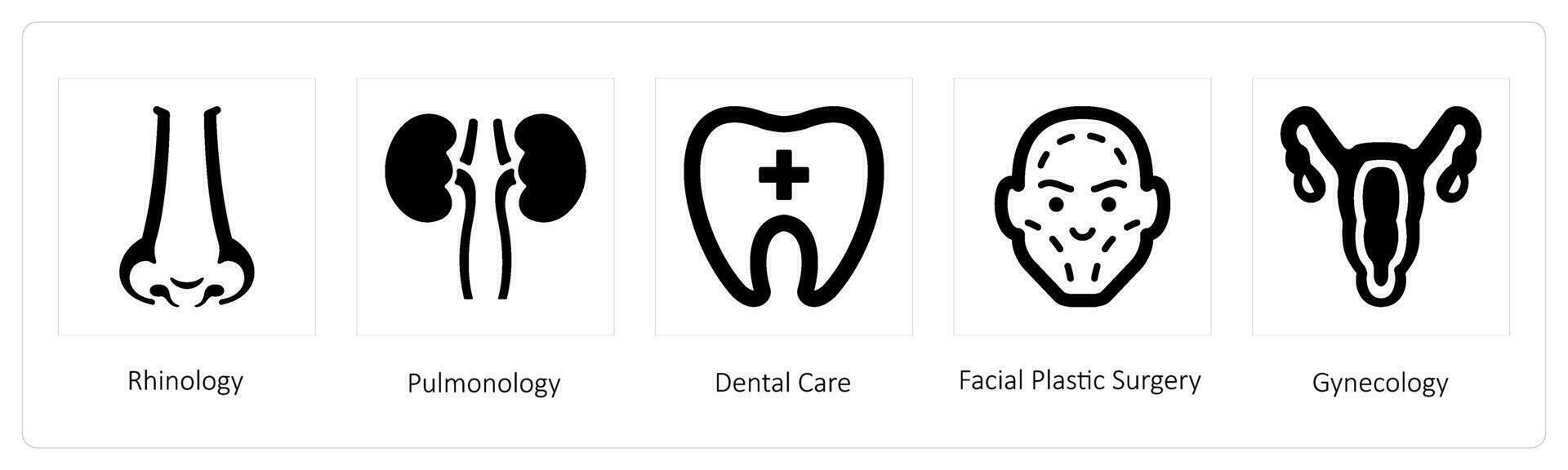 rhinologi, pulmonologi, dental vård vektor