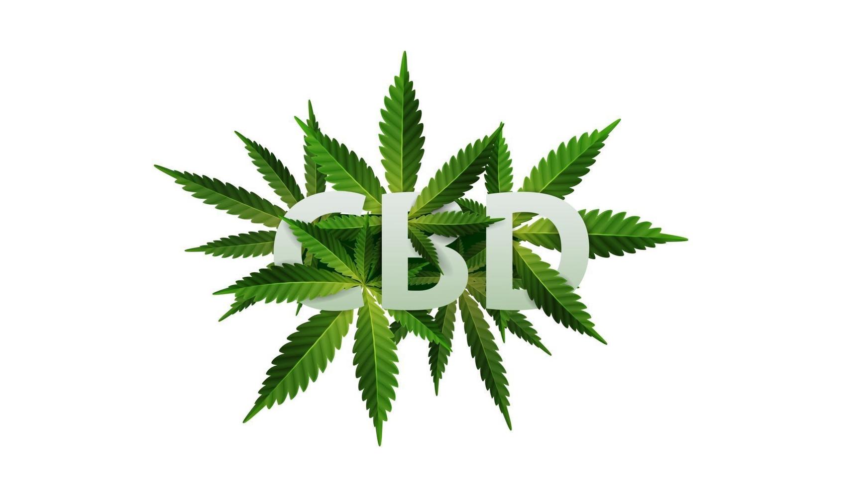 cbd, logo, zeichen, symbol. 3D-Titel verziert mit Cannabisblättern isoliert auf weißem Hintergrund vektor